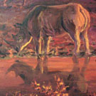 Thumb Spitzmaulnashorn in der D�mmerung